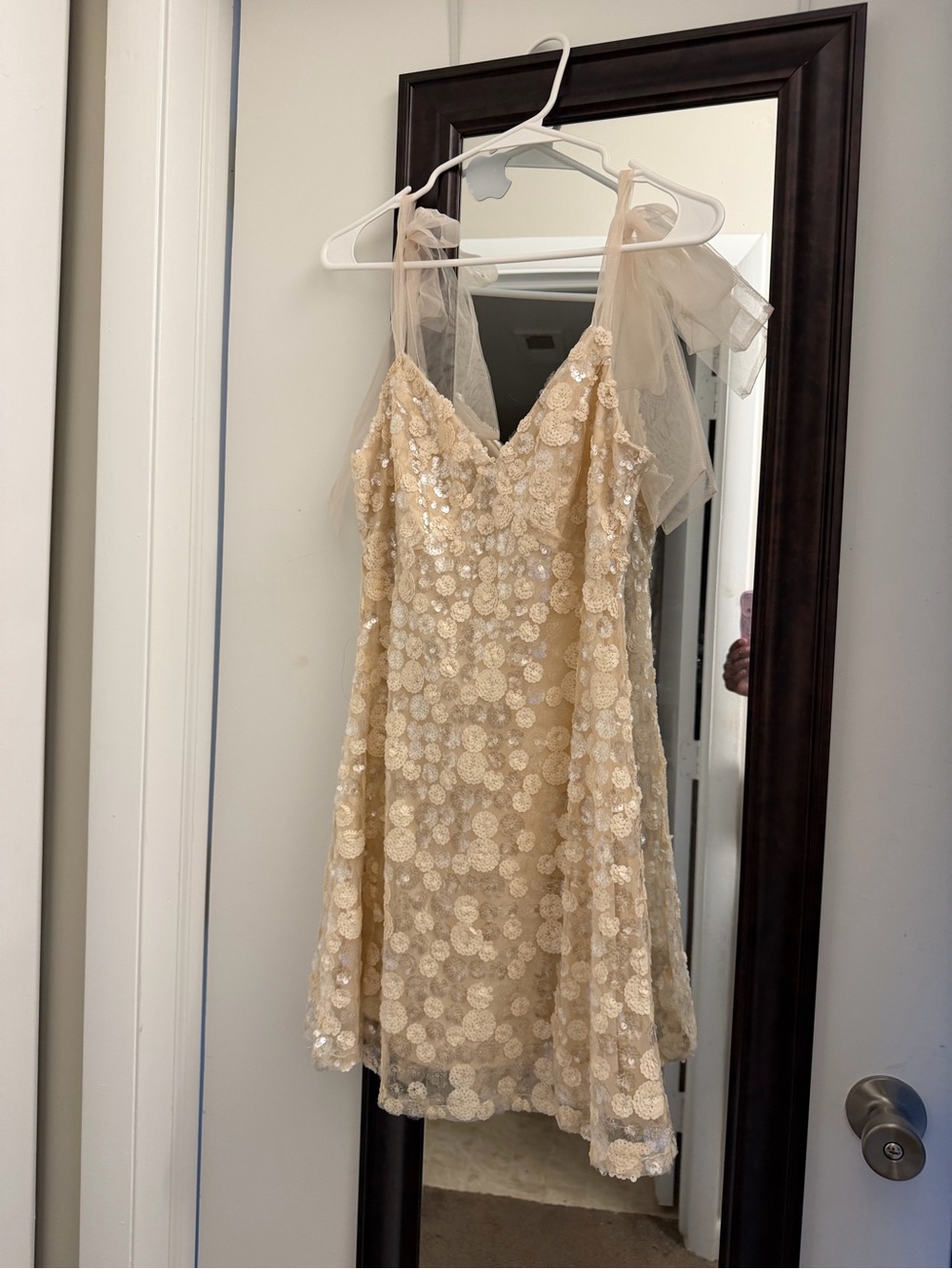 Francesca's Cream Sequin Floral Mini Dress